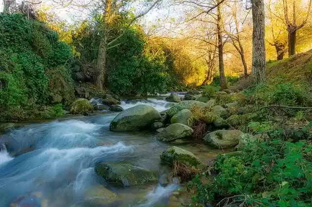 Free download Water Nature River -  free free photo or picture to be edited with GIMP online image editor