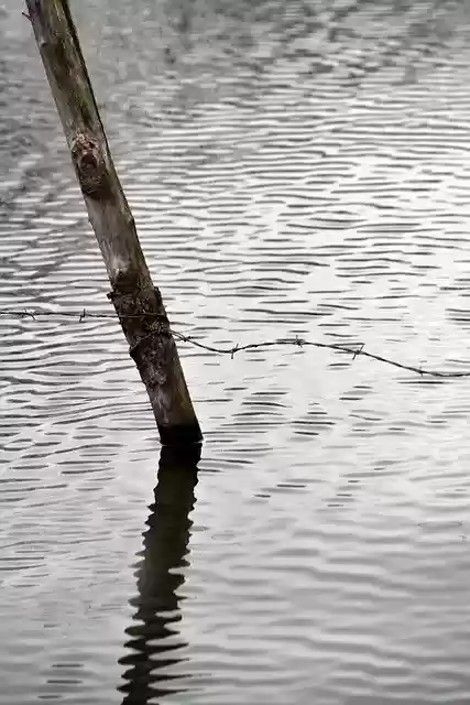 Free download Water Pond Nature free photo template to be edited with GIMP online image editor