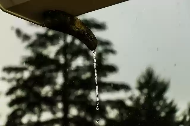 GIMP çevrimiçi resim düzenleyici ile düzenlenecek ücretsiz Water Rain Drip ücretsiz fotoğraf şablonunu indirin