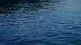 Free download Water River Lake -  free video to be edited with OpenShot online video editor