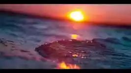 הורדה חינם Water River Sunset - סרטון חינם לעריכה עם עורך וידאו מקוון של OpenShot