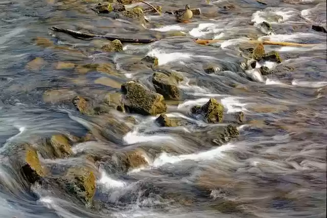 Free download water rocks duck waterfall weir free picture to be edited with GIMP free online image editor