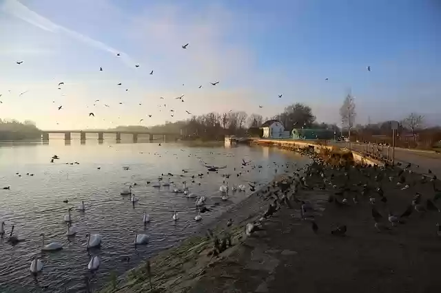 Free download waters nature winter flow free picture to be edited with GIMP free online image editor