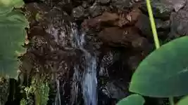 Descărcare gratuită Water Spring Sound Calm video gratuit pentru a fi editat cu editorul video online OpenShot