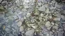 Free download Water Stone Autumn -  free video to be edited with OpenShot online video editor