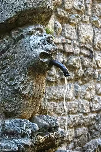 Free download Water Thirst Fresh -  free photo or picture to be edited with GIMP online image editor