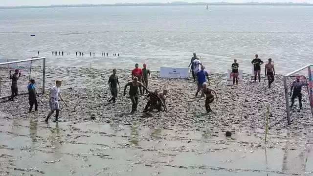 Free download Watt Olümpiade Watts Elbe -  free photo or picture to be edited with GIMP online image editor