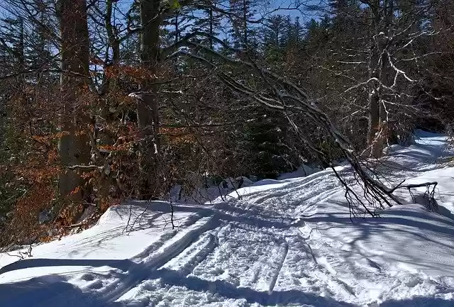 Free download Way Snow Winter -  free photo or picture to be edited with GIMP online image editor