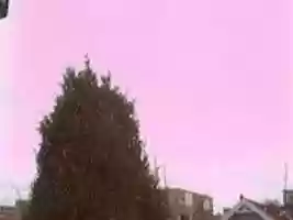 Free download Webcam 2006-11-24 free photo or picture to be edited with GIMP online image editor