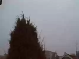 Free download Webcam 2006-11-28 free photo or picture to be edited with GIMP online image editor