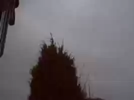 Free download Webcam 2006-12-23 free photo or picture to be edited with GIMP online image editor