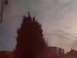 Free download Webcam 2007-01-12 free photo or picture to be edited with GIMP online image editor