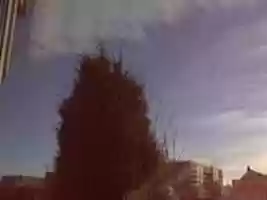 Free download Webcam 2007-01-13 free photo or picture to be edited with GIMP online image editor