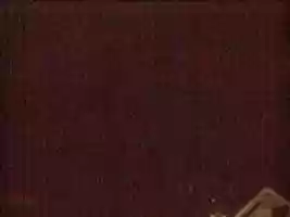 Free download Webcam 2007-01-20 free photo or picture to be edited with GIMP online image editor