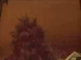 Free download Webcam 2007-01-24 free photo or picture to be edited with GIMP online image editor