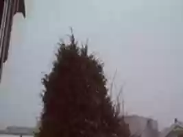 Free download Webcam 2007-02-21 free photo or picture to be edited with GIMP online image editor