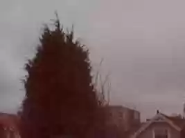 Free download Webcam 2007-03-08 free photo or picture to be edited with GIMP online image editor