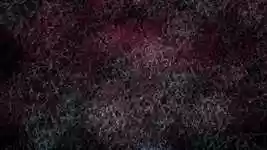 Free download Web Nerves Rays -  free video to be edited with OpenShot online video editor