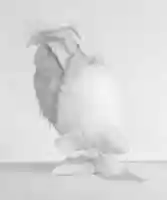 Free download Wedding bonnet free photo or picture to be edited with GIMP online image editor