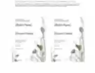 Descarga gratuita Plantilla de invitación de boda 2 Plantilla DOC, XLS o PPT gratis para editar con LibreOffice en línea o OpenOffice Desktop en línea