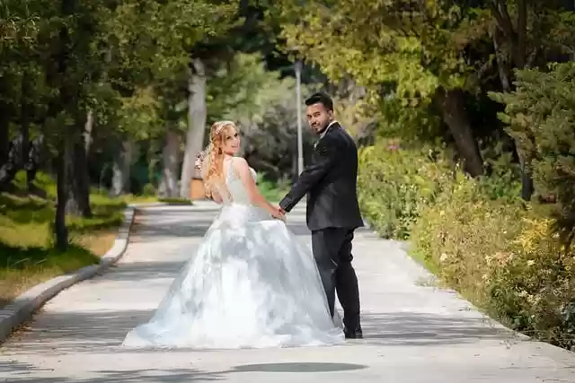 Free download wedding newlyweds road trees free picture to be edited with GIMP free online image editor