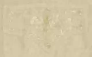 Free download Wedding nightshirt free photo or picture to be edited with GIMP online image editor