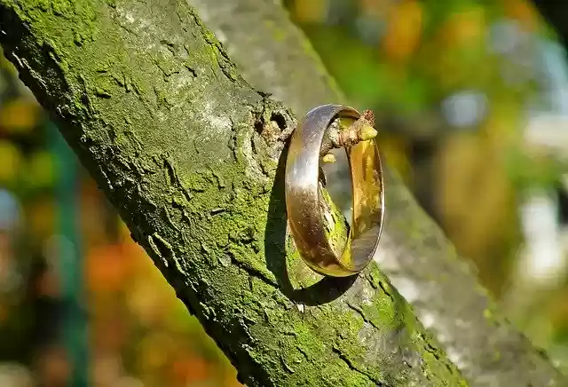 Free download Wedding Ring Gold Marriage -  free photo or picture to be edited with GIMP online image editor