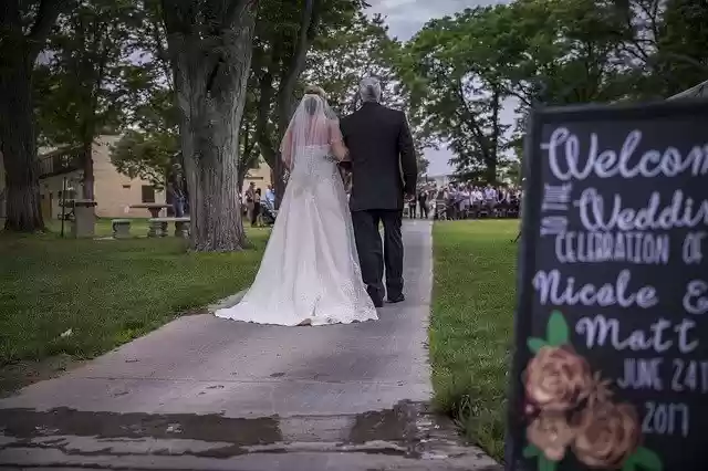 Free download Weddings Dress Bride -  free photo or picture to be edited with GIMP online image editor