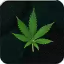 Weed 4K  screen for extension Chrome web store in OffiDocs Chromium