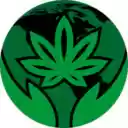Weed Lovers Theme  screen for extension Chrome web store in OffiDocs Chromium