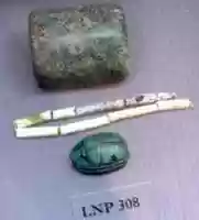 Free download Weight of 5? debans free photo or picture to be edited with GIMP online image editor