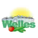 WellesBV  screen for extension Chrome web store in OffiDocs Chromium