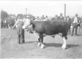 Free download Western Fair 1923 London Ontario free photo or picture to be edited with GIMP online image editor