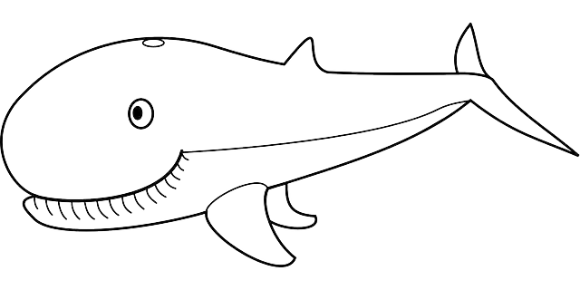 Free download Whale Animal Ocean - Free vector graphic on Pixabay free illustration to be edited with GIMP free online image editor