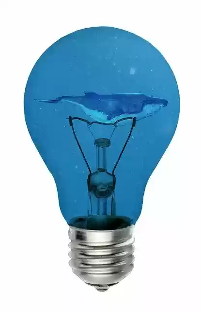 Free download Whale Bulb Environmental -  free illustration to be edited with GIMP free online image editor