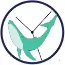 Whale Time  screen for extension Chrome web store in OffiDocs Chromium