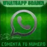 Free download WhatsApp SOAD LA free photo or picture to be edited with GIMP online image editor