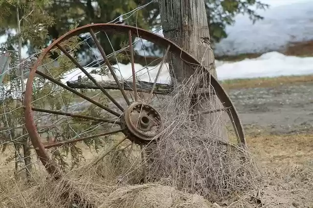 Free download Wheel Field Old -  free photo or picture to be edited with GIMP online image editor