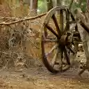 Wheel of time  screen for extension Chrome web store in OffiDocs Chromium