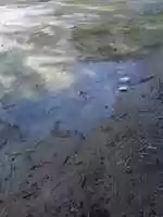 Free download while i am at the pool free photo or picture to be edited with GIMP online image editor