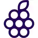 Whird  screen for extension Chrome web store in OffiDocs Chromium