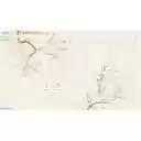 Whisp on the Wind  screen for extension Chrome web store in OffiDocs Chromium