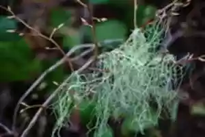 Free download White Pass 4 285 free photo or picture to be edited with GIMP online image editor