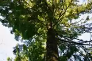 Free download White Pass 4 291 free photo or picture to be edited with GIMP online image editor