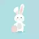WHITE RABBIT Theme  screen for extension Chrome web store in OffiDocs Chromium