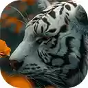 white tiger half machine on yellow flower field  screen for extension Chrome web store in OffiDocs Chromium