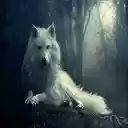 White wolf  screen for extension Chrome web store in OffiDocs Chromium
