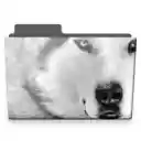 White Wolves Theme  screen for extension Chrome web store in OffiDocs Chromium