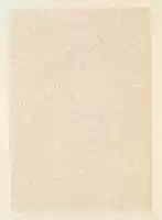 Free download Willow free photo or picture to be edited with GIMP online image editor