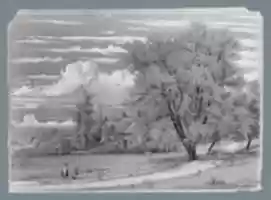 Free download Willow Tree, Harlem Creek, New York free photo or picture to be edited with GIMP online image editor